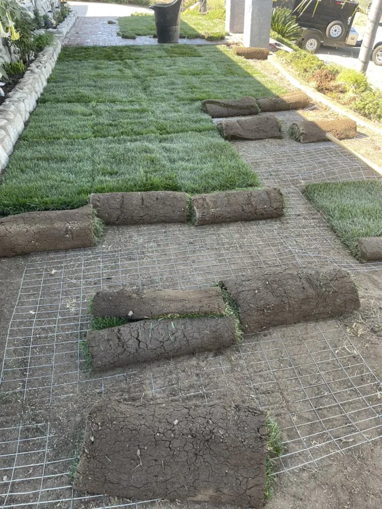 Local lawn care service in San Bernardino, CA - Mena Landscaping