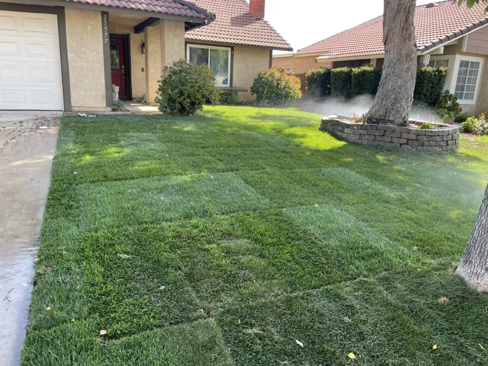 Affordable yard maintenance for beautiful yards across San Bernardino, CA - Mena Landscaping