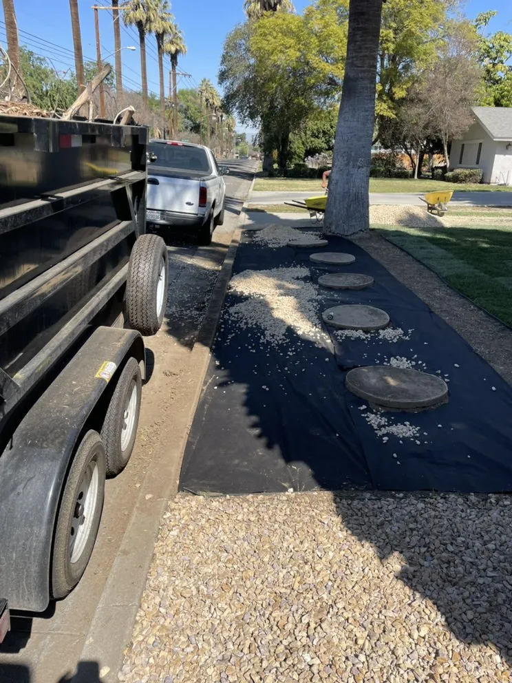 Reliable yard cleanup service experts serving San Bernardino, CA - Mena Landscaping