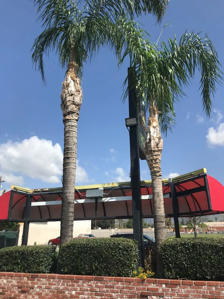 Local landscaping services experts serving San Bernardino, CA - Mena Landscaping