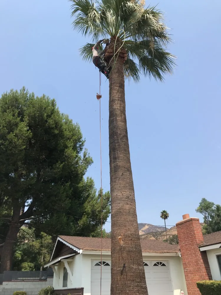 Professional garden landscaping for residential properties in San Bernardino, CA by Mena Landscaping