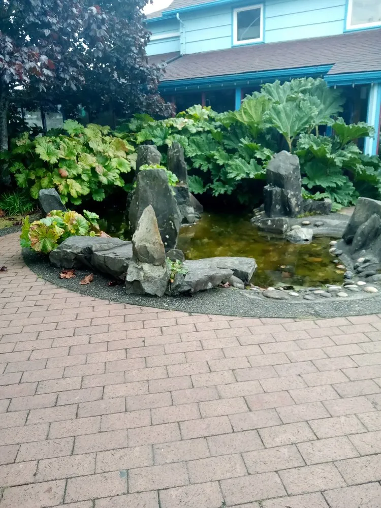 Reliable lawn mowing service for year-round maintenance in Long Beach, WA by Menace Lawncare