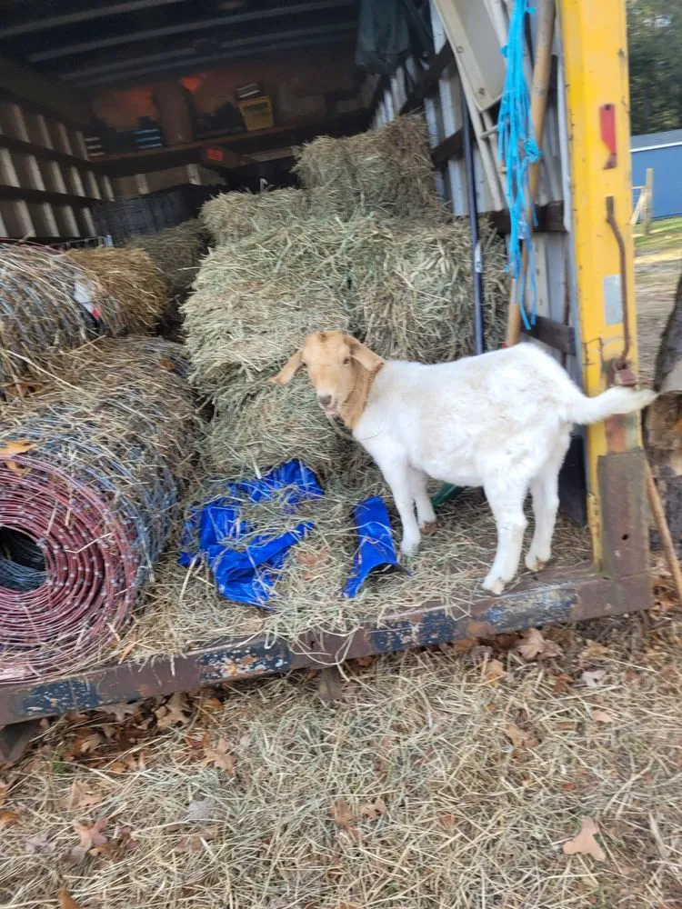 Custom lawn care service for year-round maintenance in Millville, NJ by Menantico Creek Farms-Have Tractor Will Travel