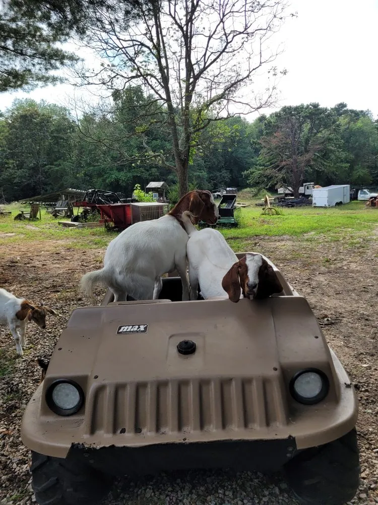 Trusted landscape design near you across Millville, NJ - Menantico Creek Farms-Have Tractor Will Travel