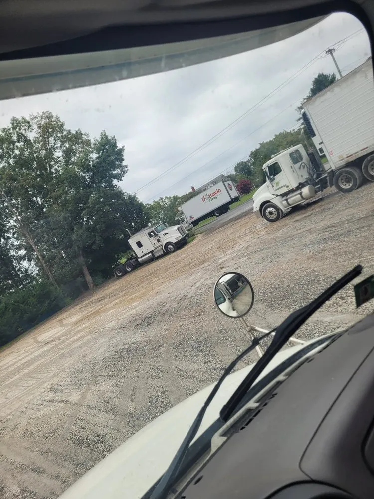 Top-rated lawn care service for outdoor upgrades in Millville, NJ by Menantico Creek Farms-Have Tractor Will Travel