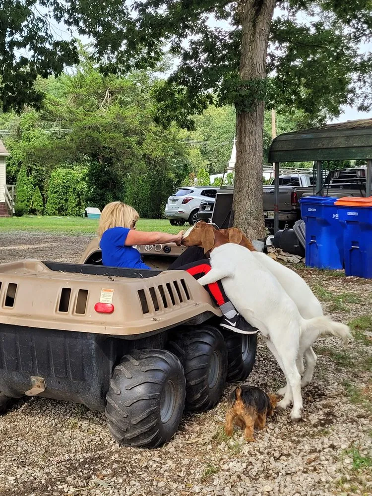 Professional yard cleanup service in Millville, NJ by Menantico Creek Farms-Have Tractor Will Travel