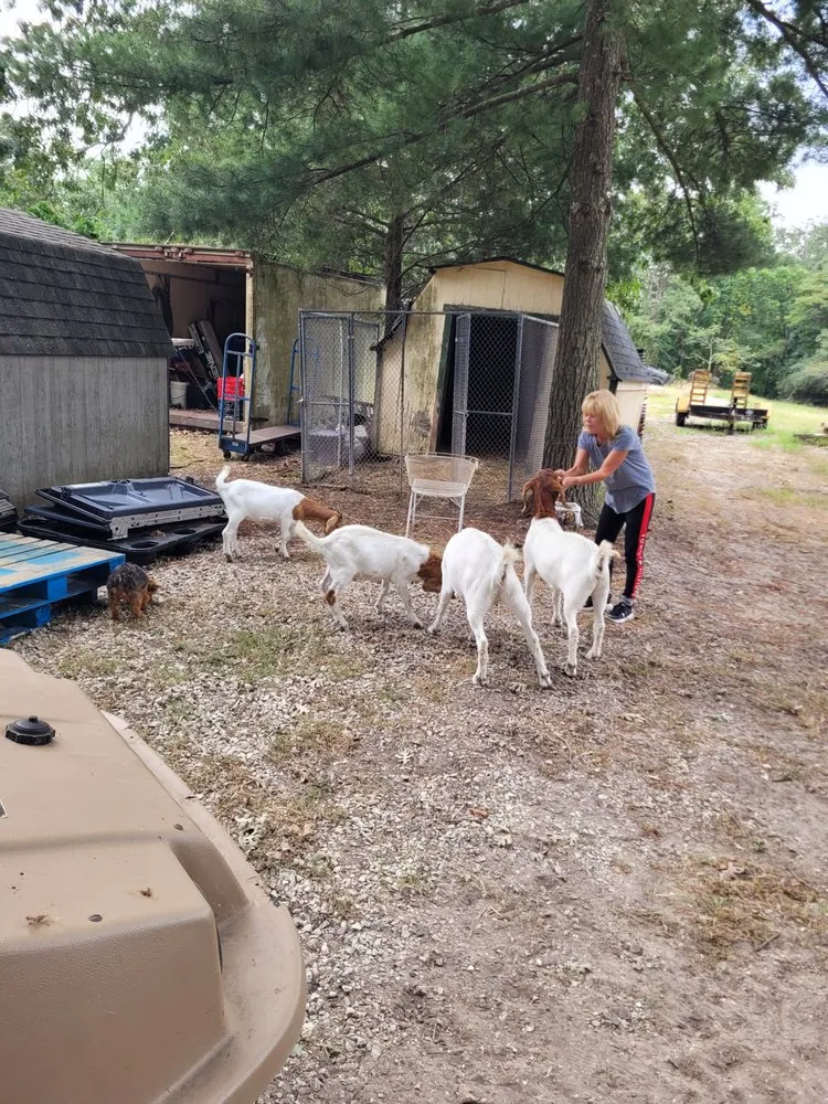 Reliable landscape design for outdoor upgrades across Millville, NJ - Menantico Creek Farms-Have Tractor Will Travel