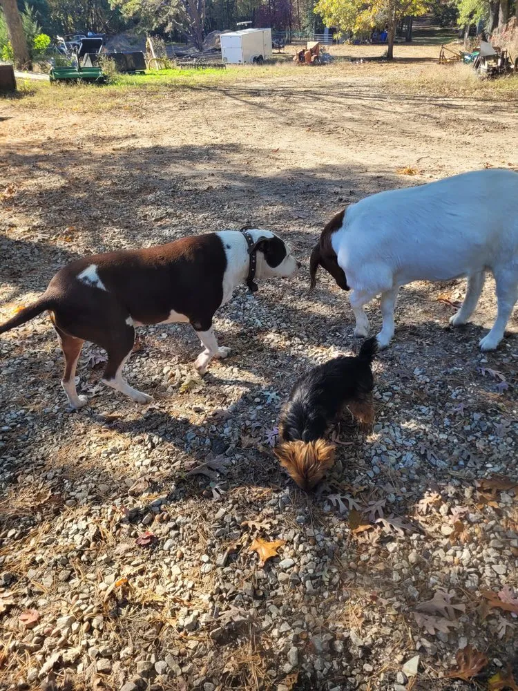 Professional lawn care service in Millville, NJ - Menantico Creek Farms-Have Tractor Will Travel