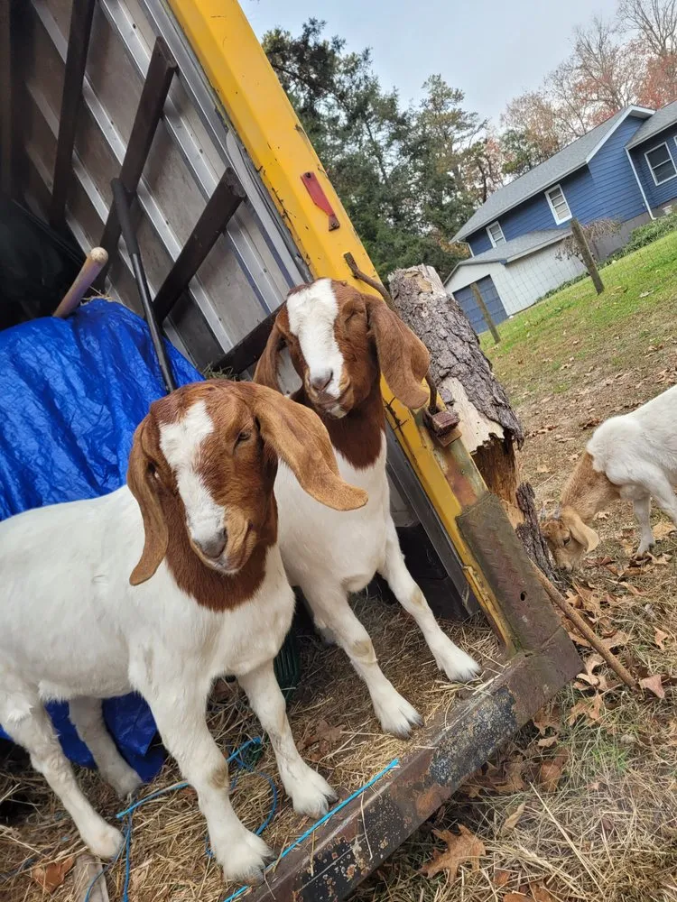 Top-rated yard maintenance in Millville, NJ - Menantico Creek Farms-Have Tractor Will Travel