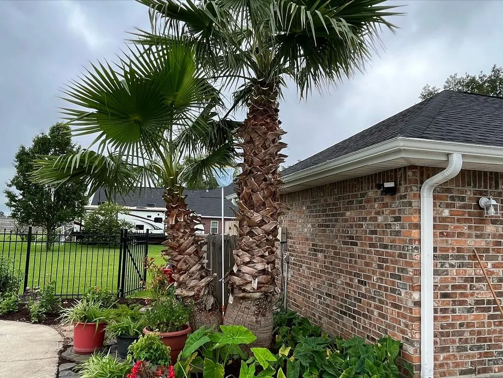 Trusted landscape installation in Sulphur, LA - Menard Landscaping Services