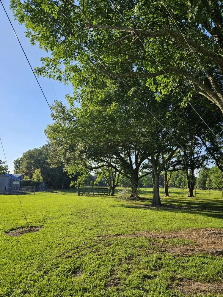 Top-rated garden landscaping in Church Point, LA by Menard Tree Service