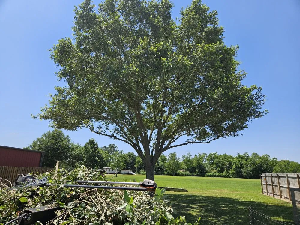 Custom outdoor landscaping for beautiful yards across Church Point, LA - Menard Tree Service