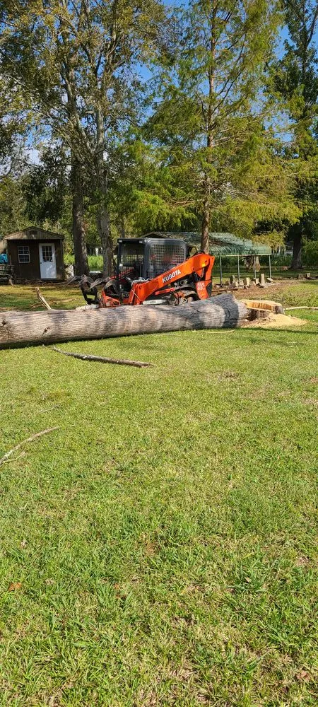 Trusted landscape installation in Church Point, LA by Menard Tree Service