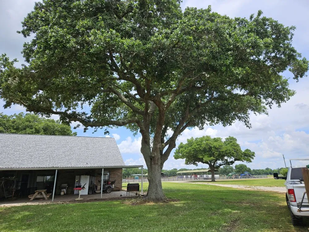 Reliable garden landscaping in Church Point, LA by Menard Tree Service
