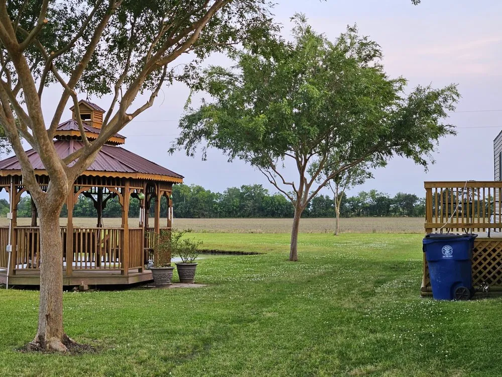 Top-rated yard cleanup service experts serving Church Point, LA - Menard Tree Service