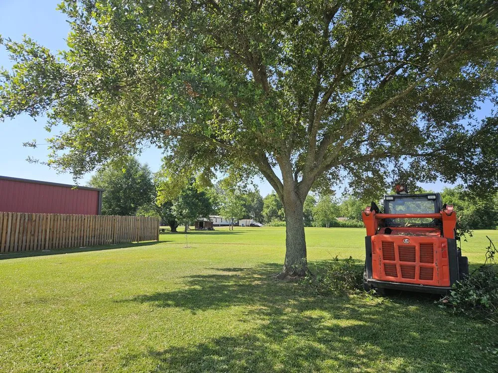 Local garden landscaping for outdoor upgrades across Church Point, LA - Menard Tree Service