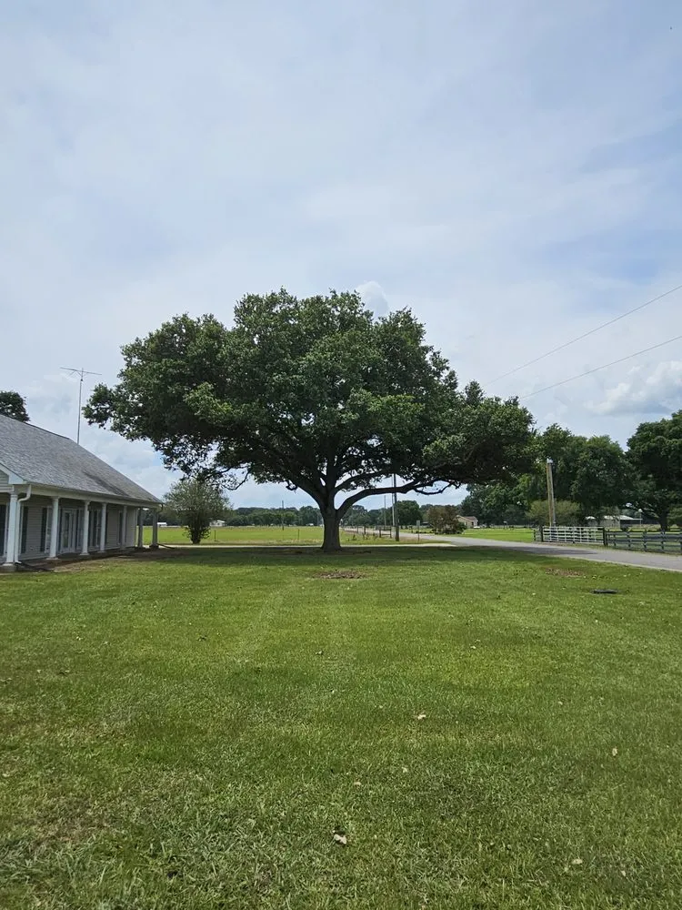 Local lawn mowing service in Church Point, LA by Menard Tree Service