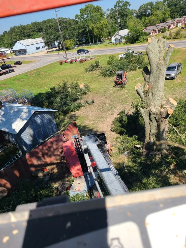 Expert lawn care service with custom design across Church Point, LA - Menard Tree Service