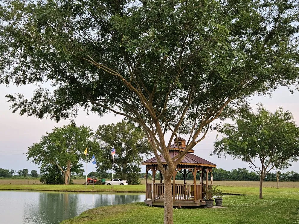 Expert landscape design in Church Point, LA - Menard Tree Service