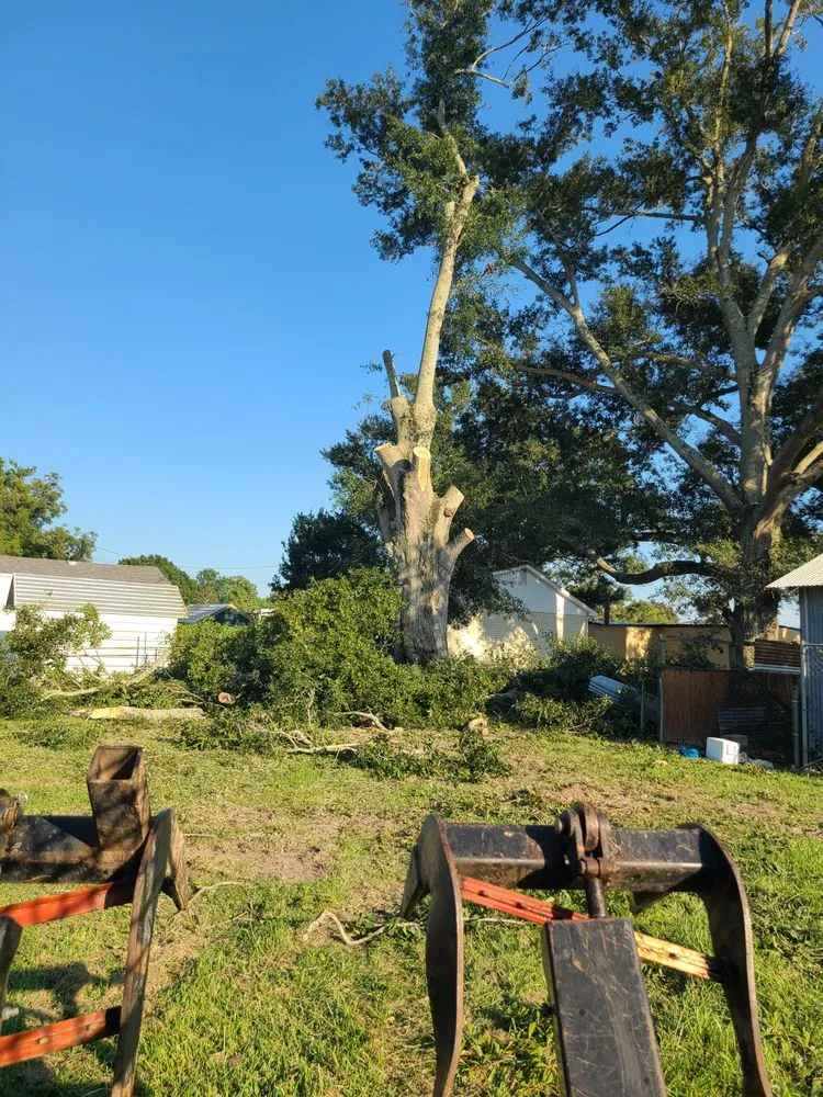 Local lawn care service in Church Point, LA by Menard Tree Service