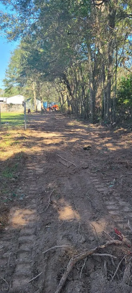 Local lawn care service in Church Point, LA - Menard Tree Service