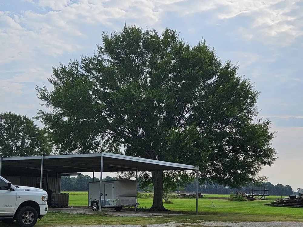 Local residential landscaping for beautiful yards across Church Point, LA - Menard Tree Service