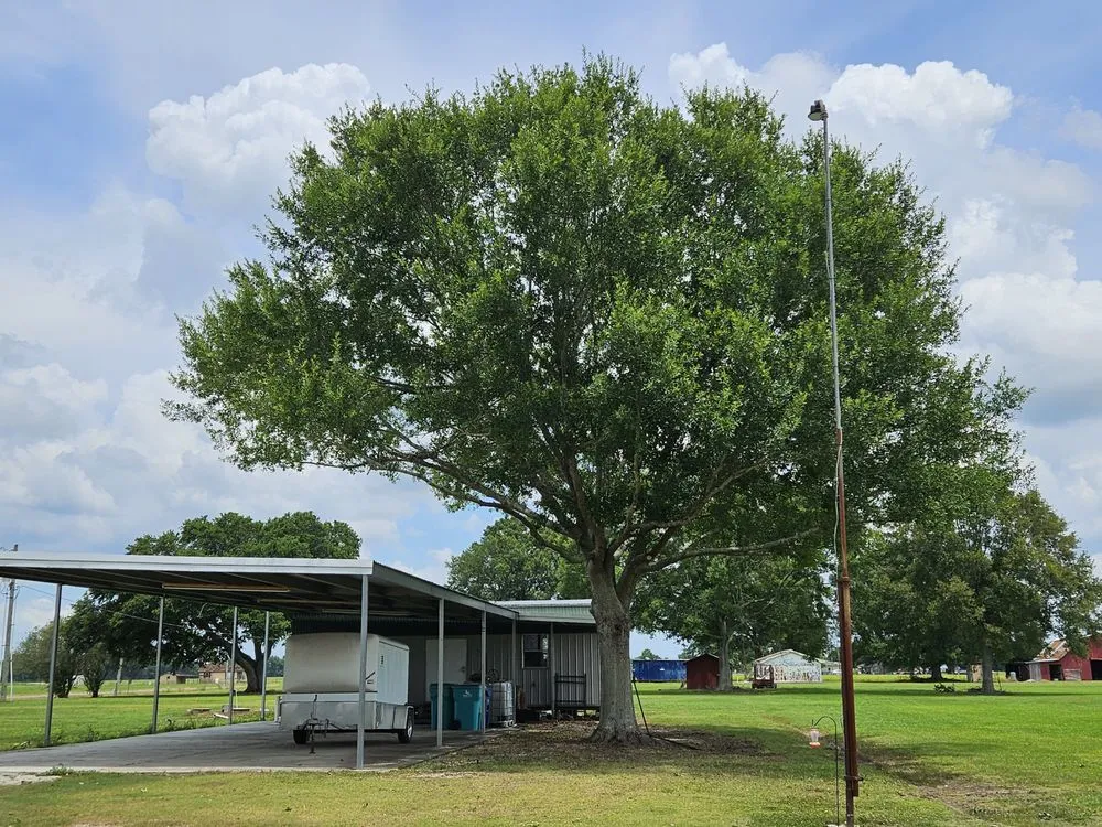 Reliable landscaping services in Church Point, LA - Menard Tree Service