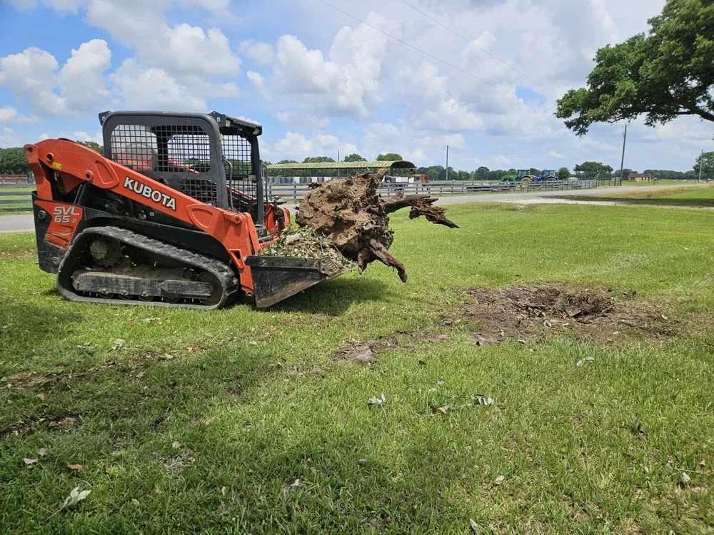 Affordable landscape design in Church Point, LA by Menard Tree Service