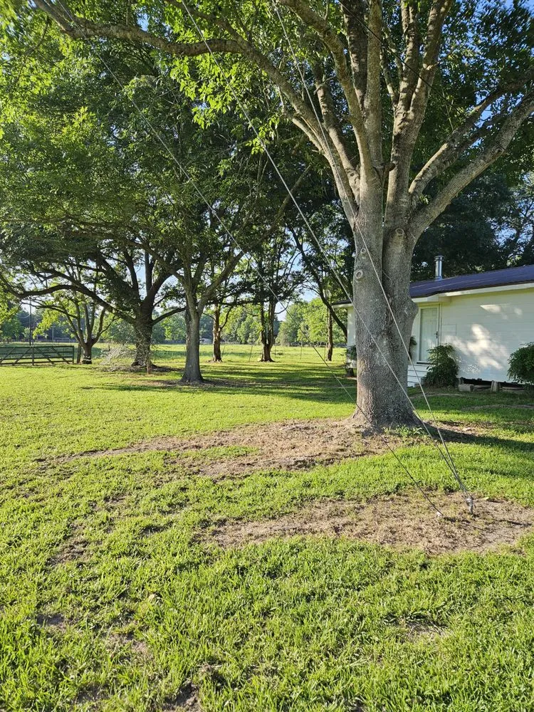 Top-rated outdoor landscaping for outdoor upgrades across Church Point, LA - Menard Tree Service