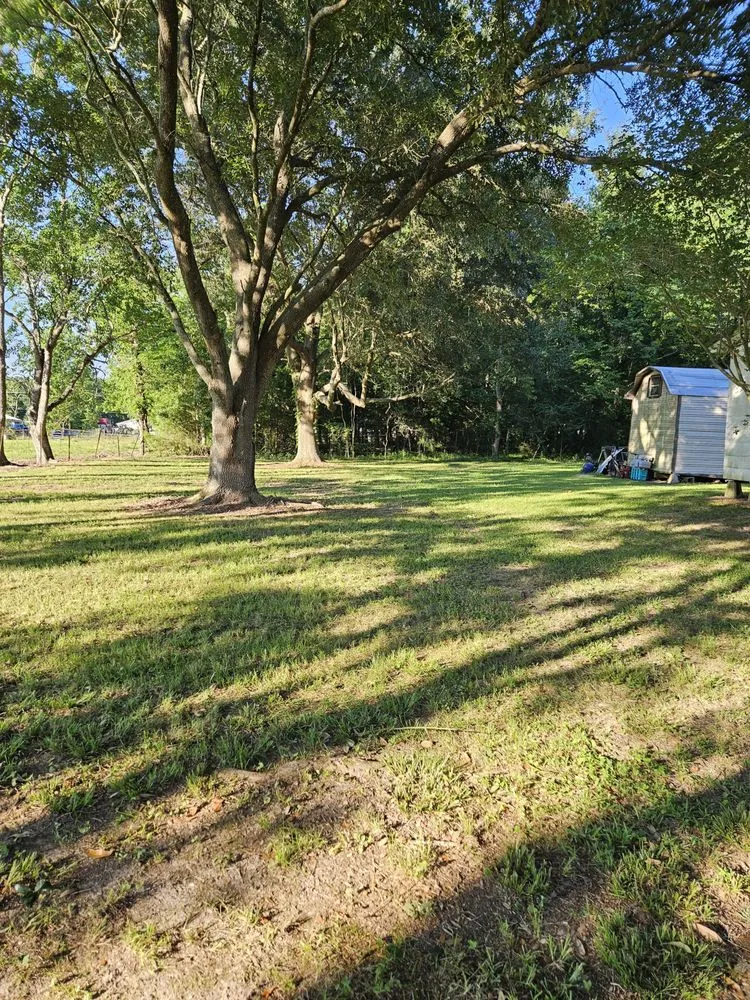 Local lawn care service in Church Point, LA - Menard Tree Service