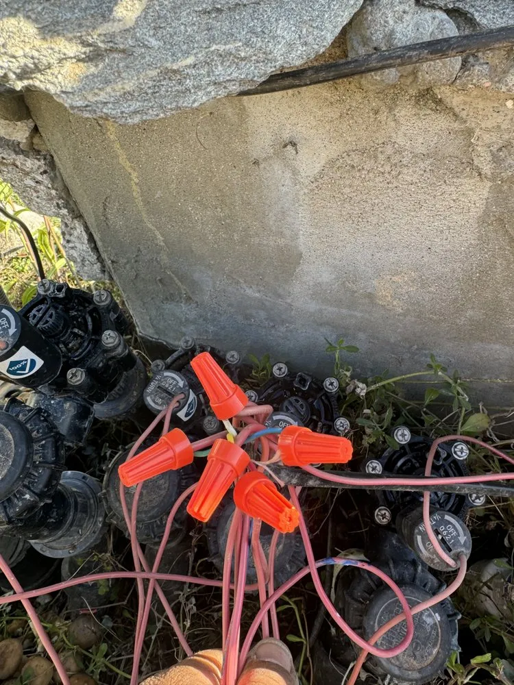 Trusted yard maintenance for residential properties across Rialto, CA - Mena’s Full Landscaping