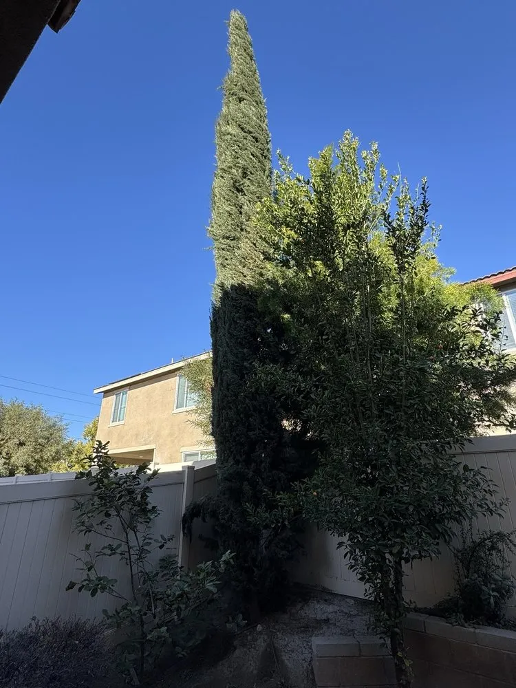 Top-rated garden landscaping for homes across Rialto, CA - Mena’s Full Landscaping