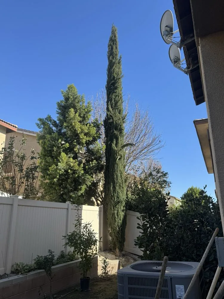 Custom lawn care service experts serving Rialto, CA - Mena’s Full Landscaping