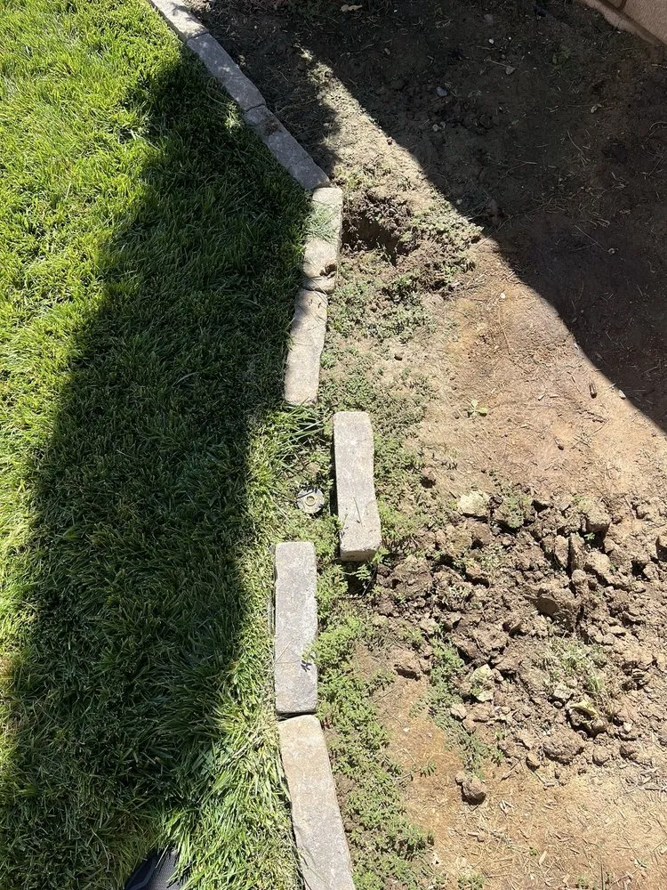 Trusted yard maintenance for residential properties across Rialto, CA - Mena’s Full Landscaping