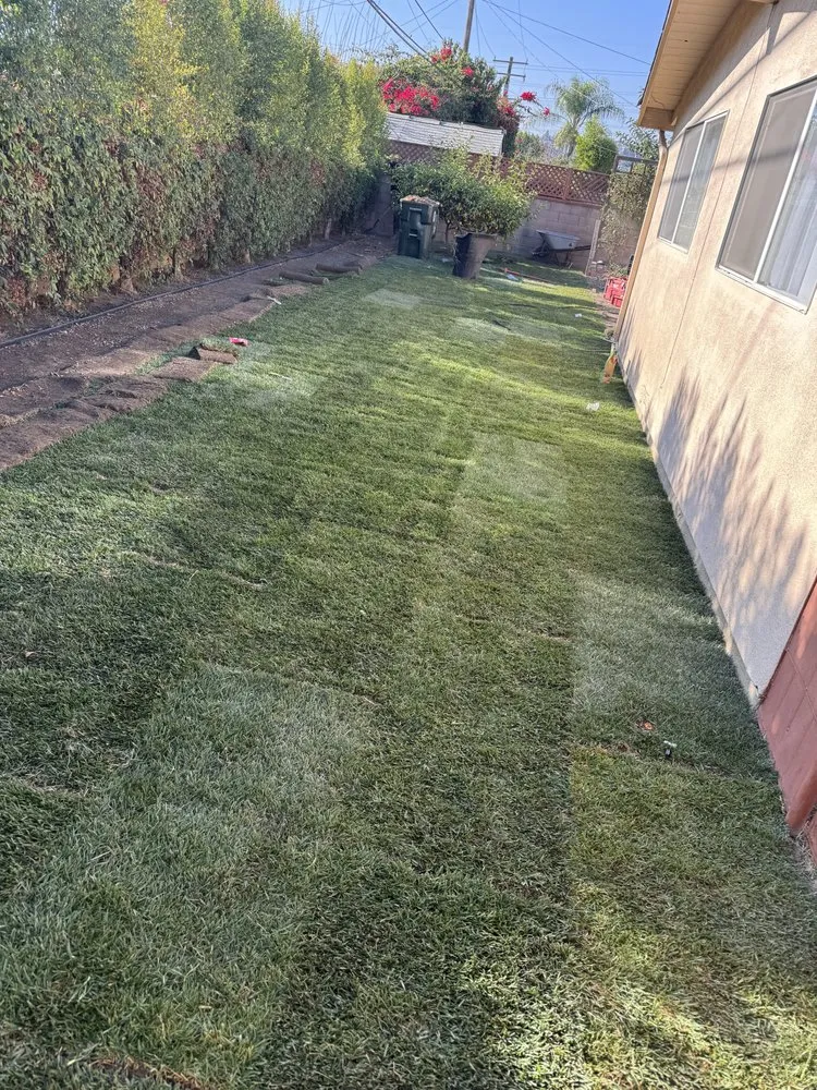 Expert outdoor landscaping in Rialto, CA by Mena’s Full Landscaping