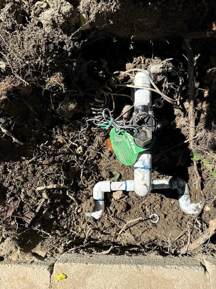 Custom lawn care service experts serving Rialto, CA - Mena’s Full Landscaping