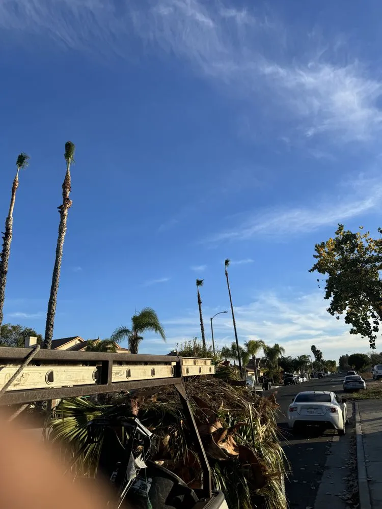 Trusted outdoor landscaping in Rialto, CA by Mena’s Full Landscaping