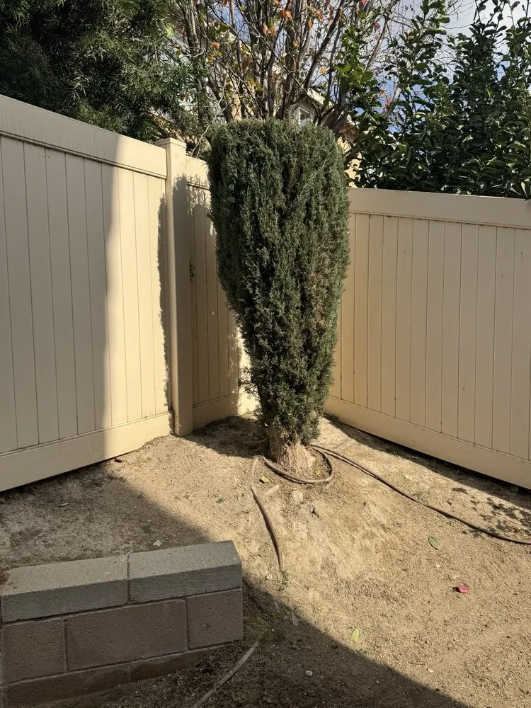 Top-rated lawn care service experts serving Rialto, CA - Mena’s Full Landscaping