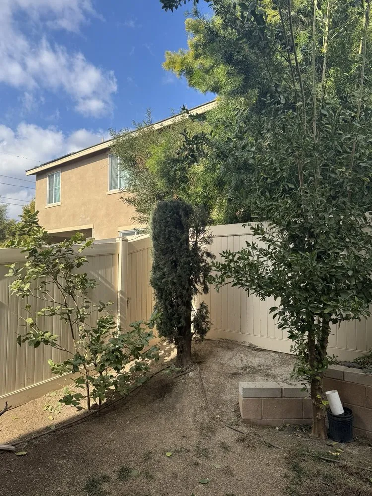 Trusted lawn care service in Rialto, CA by Mena’s Full Landscaping