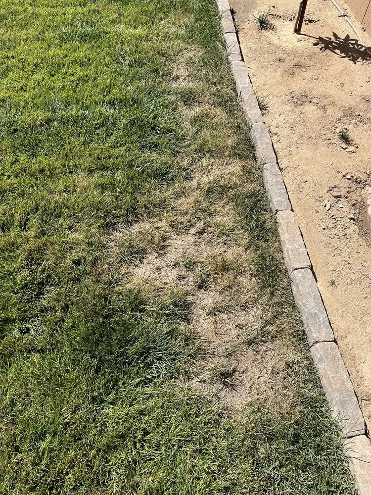 Top-rated outdoor landscaping near you across Rialto, CA - Mena’s Full Landscaping