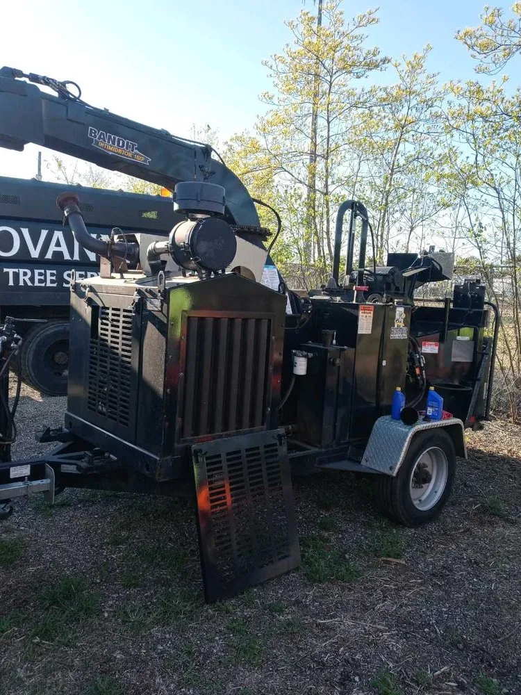 Local yard maintenance near you across Grand Rapids, MI - Menb Stump Grinding