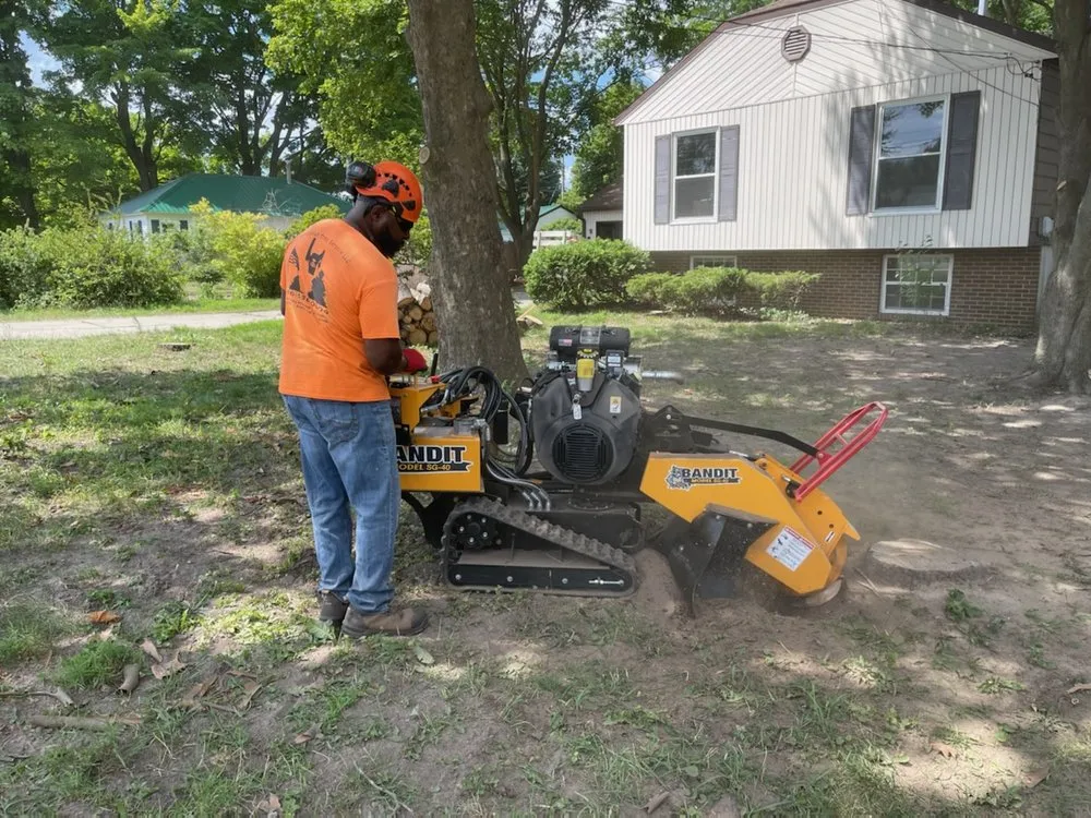 Reliable yard cleanup service experts serving Grand Rapids, MI - Menb Stump Grinding