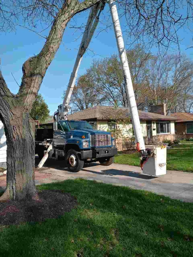 Local yard cleanup service experts serving Grand Rapids, MI - Menb Stump Grinding