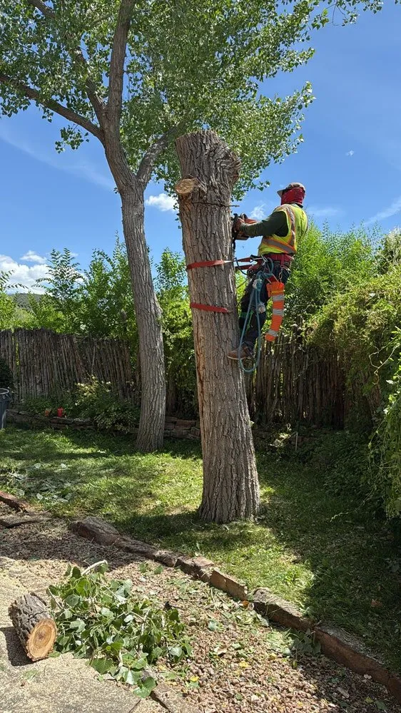 Affordable residential landscaping near you in Santa Fe, NM by Mencos Tree services & Landscaping