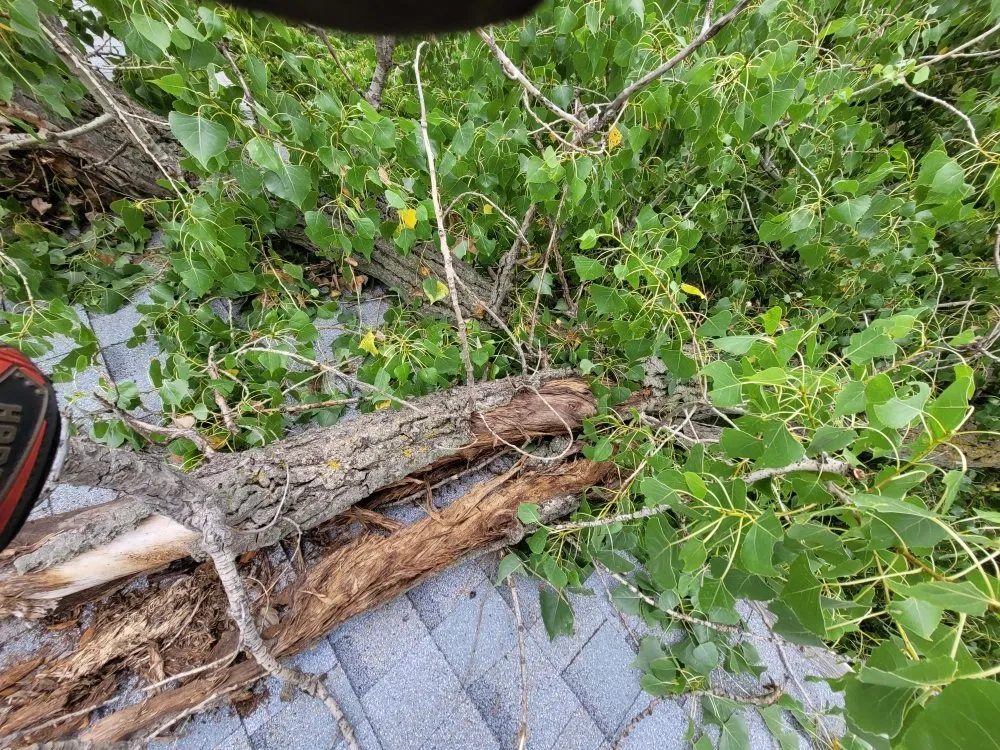 Local lawn mowing service in Salina, KS by Mend And Mow