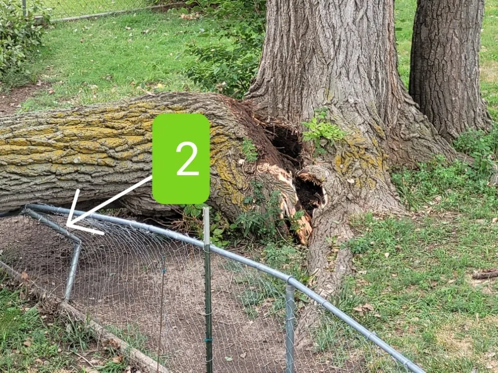 Affordable lawn mowing service in Salina, KS - Mend And Mow