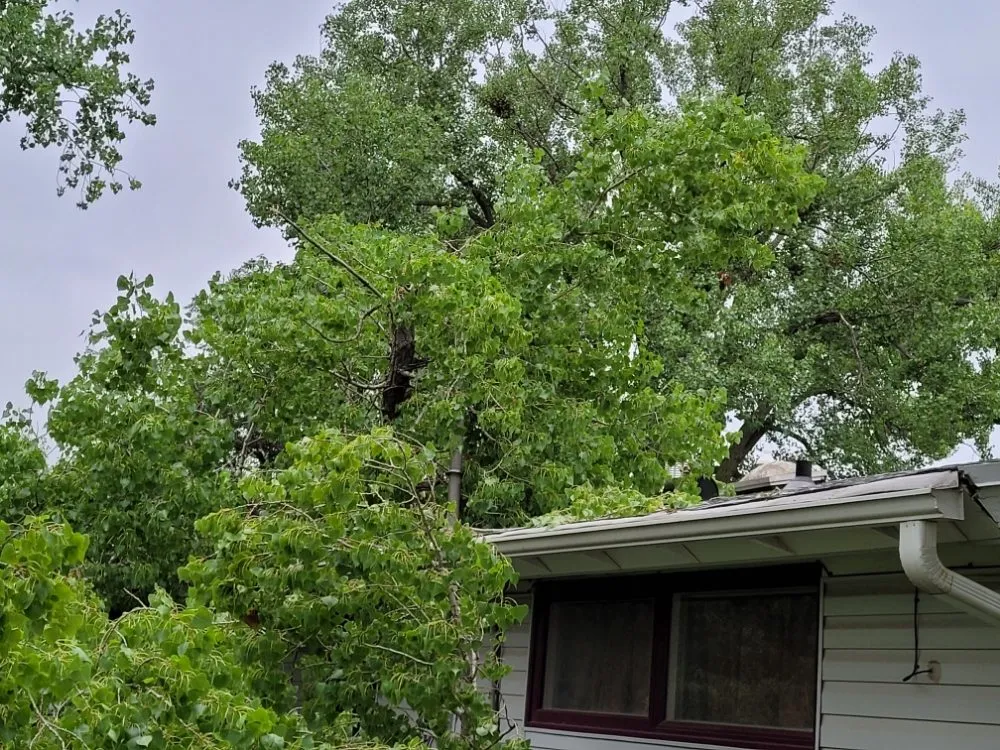 Affordable landscape installation in Salina, KS by Mend And Mow