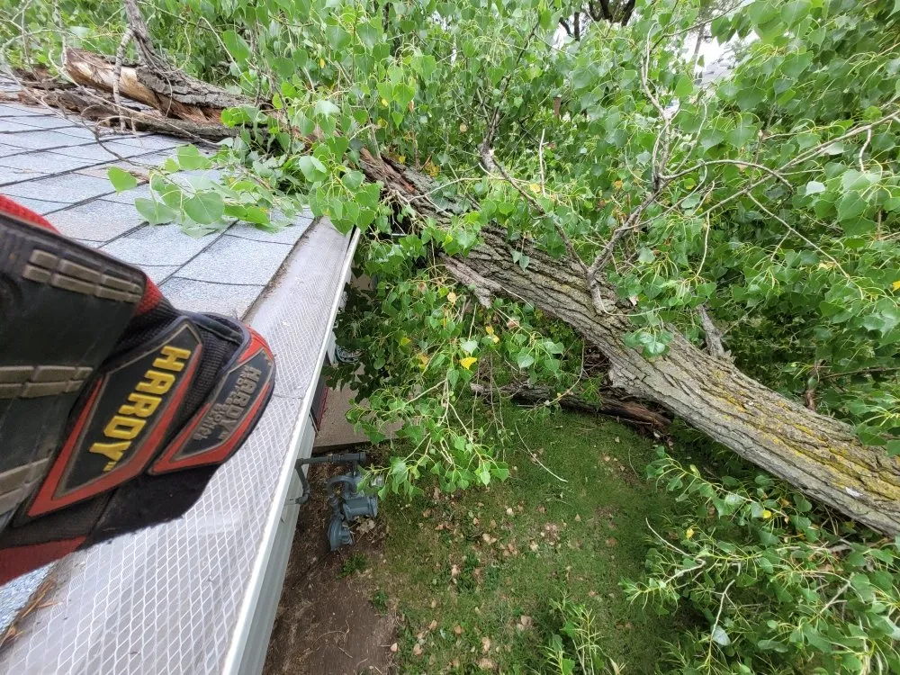 Expert residential landscaping experts serving Salina, KS - Mend And Mow