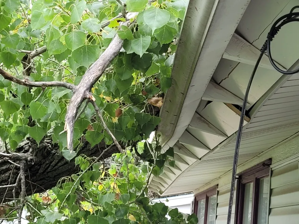 Trusted yard maintenance in Salina, KS - Mend And Mow