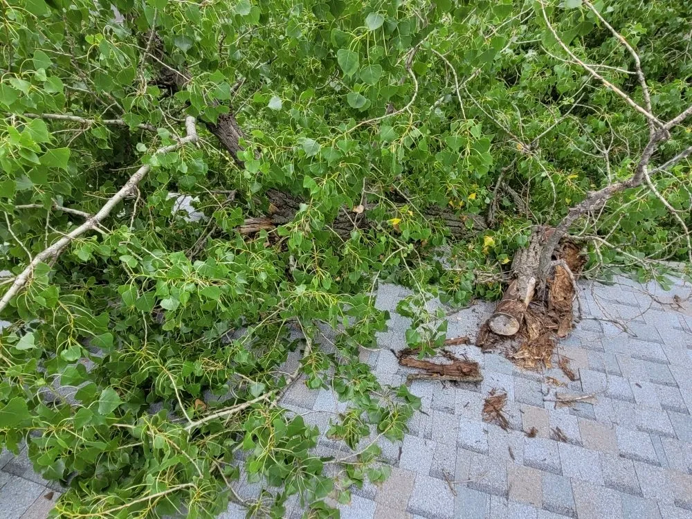 Custom garden landscaping in Salina, KS by Mend And Mow